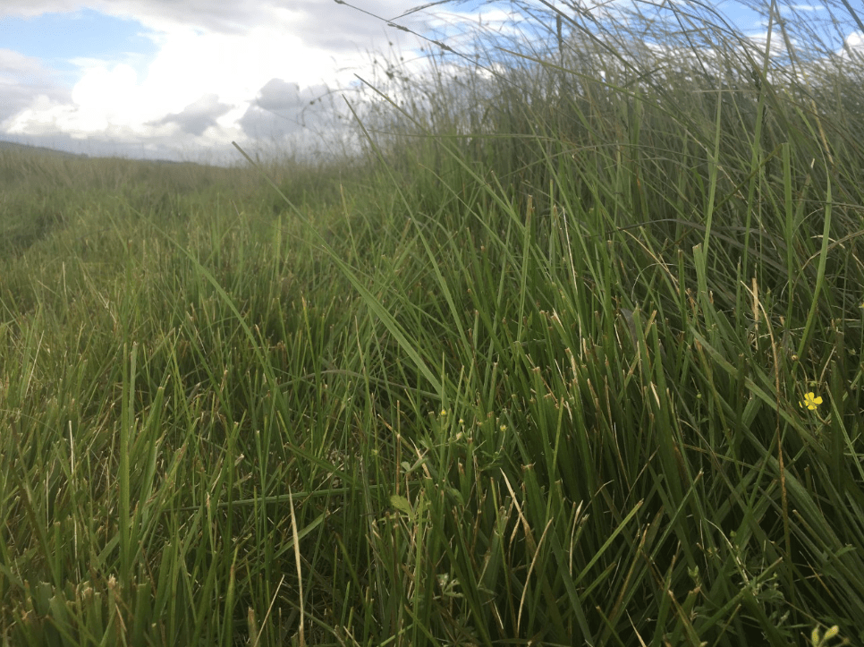 Screen Shot 2019-08-18 at 16.18.17.png