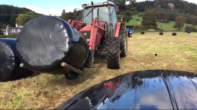 Screen Shot 2019-08-29 at 12.04.23