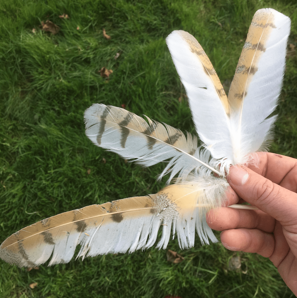 Screen Shot 2019-08-31 at 20.25.12