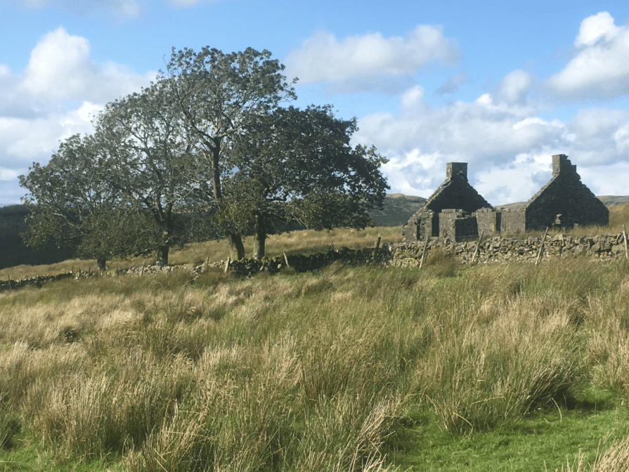 Screen Shot 2019-08-31 at 20.55.00