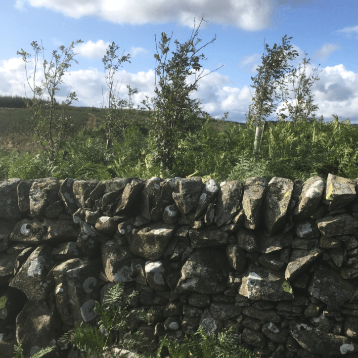 Screen Shot 2019-09-06 at 13.07.32