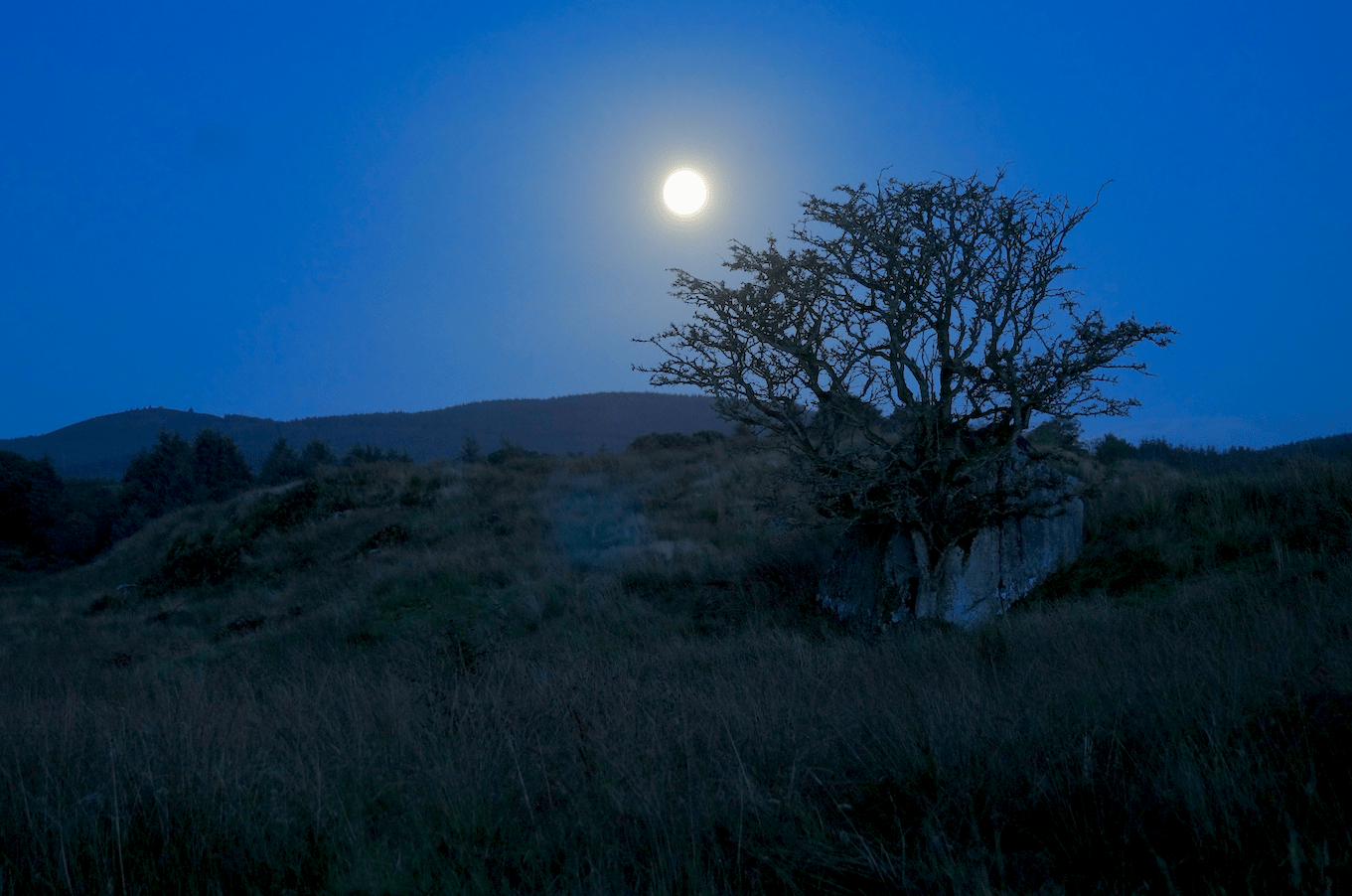 Screen Shot 2019-09-13 at 11.12.38.png