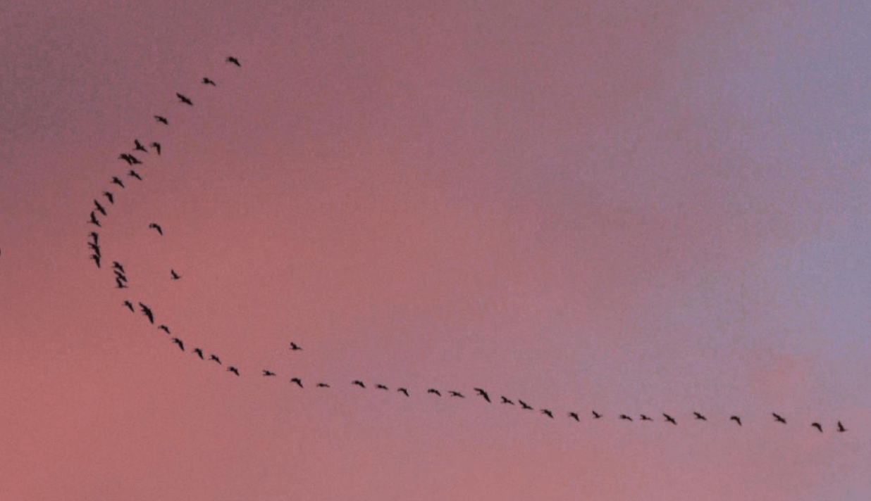 Screen Shot 2019-09-18 at 10.01.01