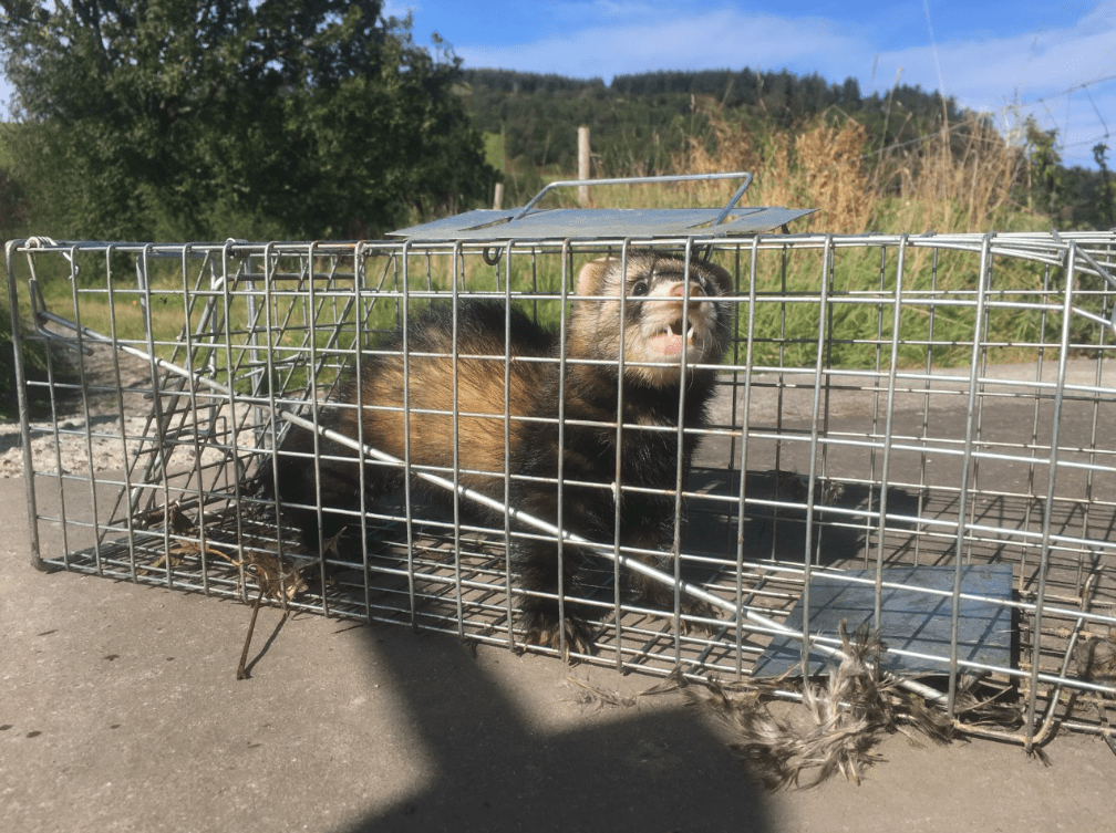 Screen Shot 2019-09-18 at 11.00.19