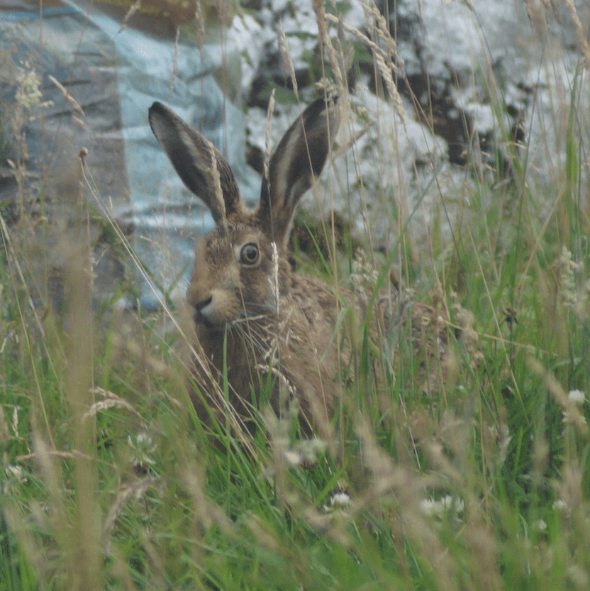 Screen Shot 2019-09-30 at 08.40.25