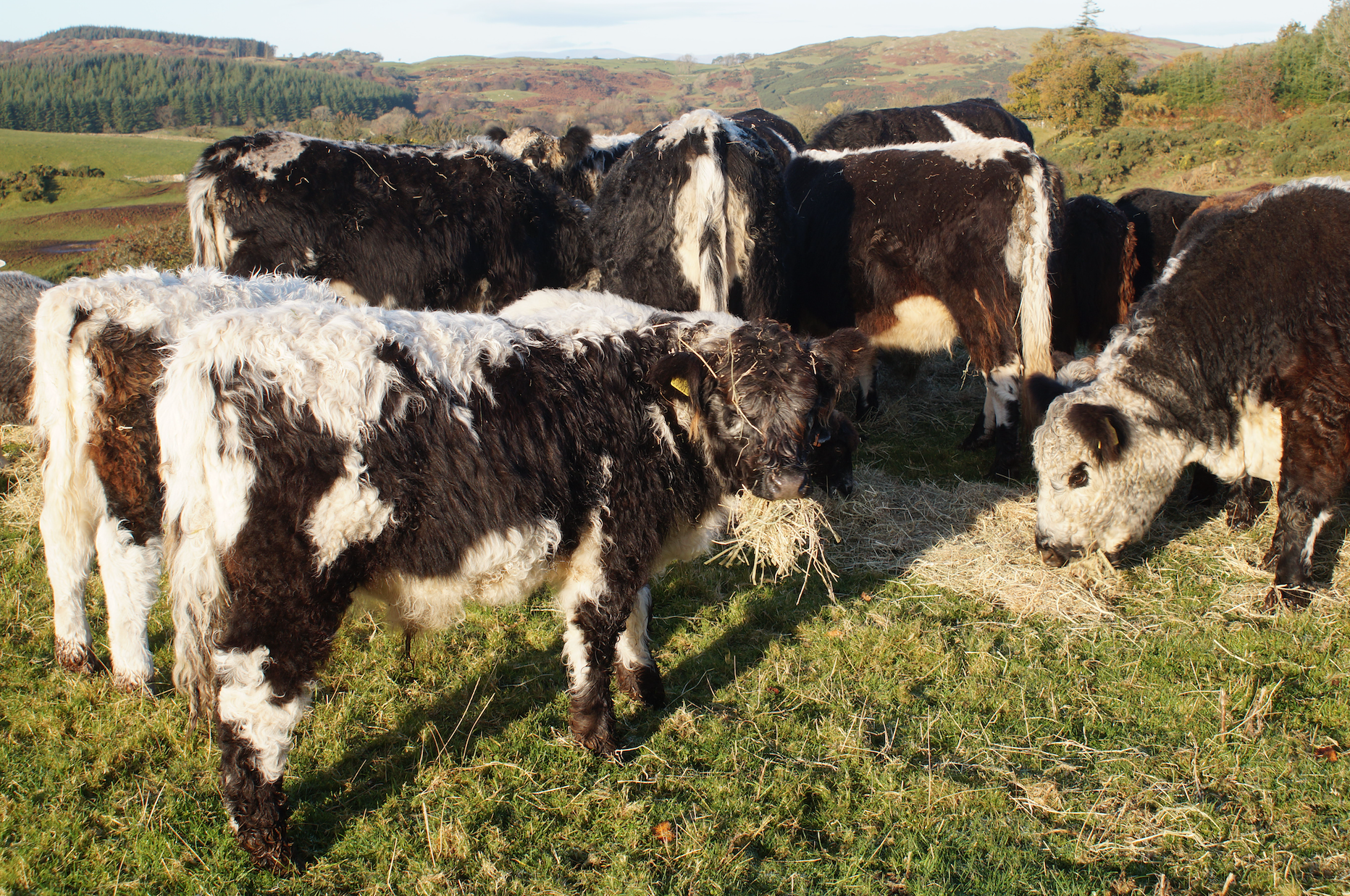 Screen Shot 2019-10-29 at 17.13.25