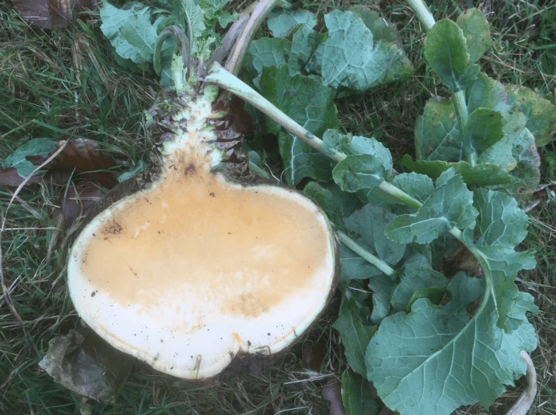 Screen Shot 2019-11-21 at 14.04.26