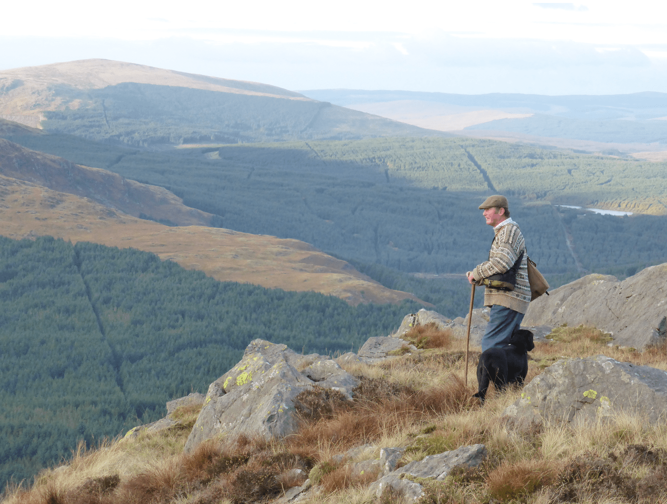 Screen Shot 2019-11-29 at 10.03.44