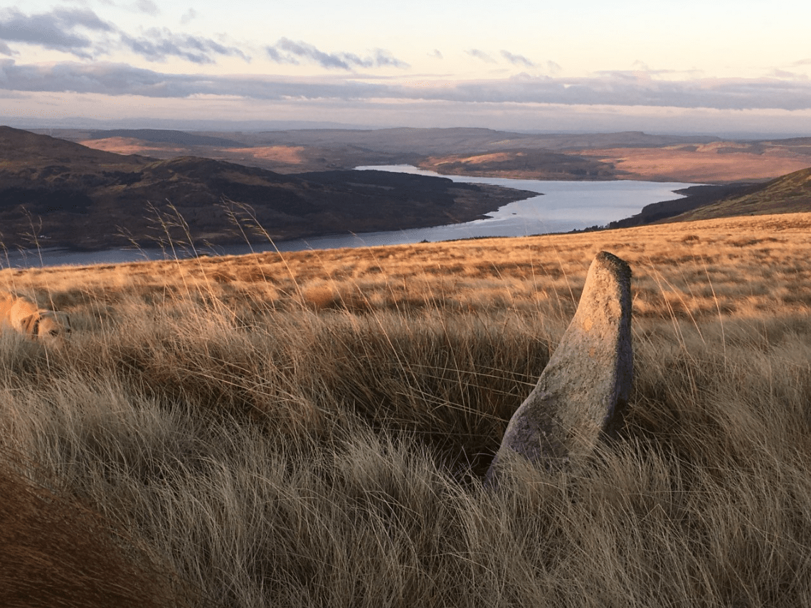 Screen Shot 2019-11-29 at 18.23.15