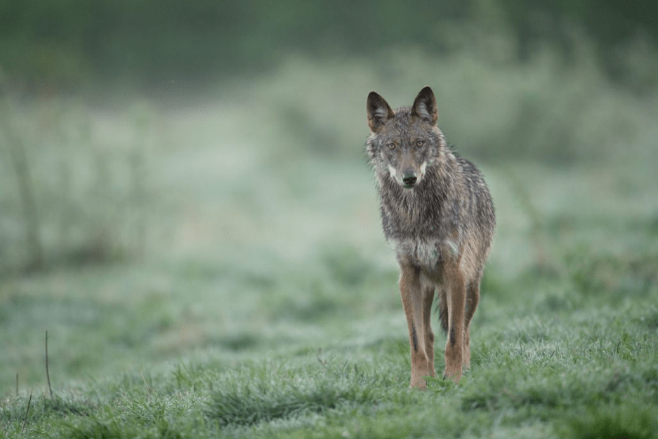 Screen Shot 2019-12-17 at 19.07.59