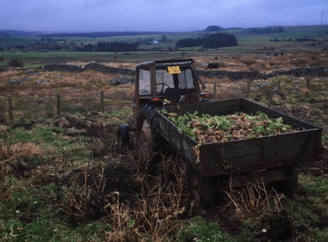 Screen Shot 2019-12-22 at 19.33.12