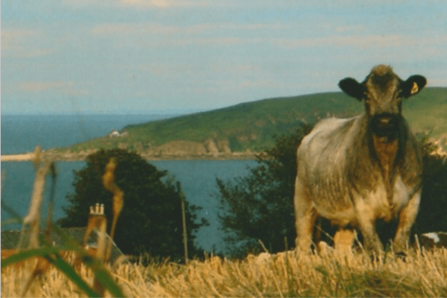 Screen Shot 2019-12-30 at 17.51.36