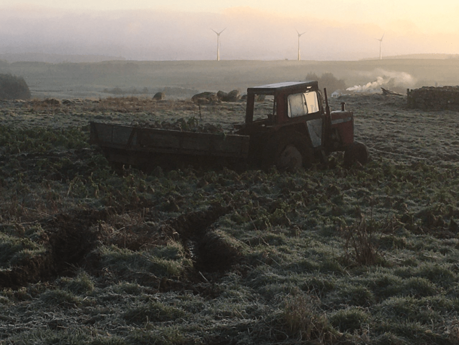 Screen Shot 2020-01-10 at 11.43.16