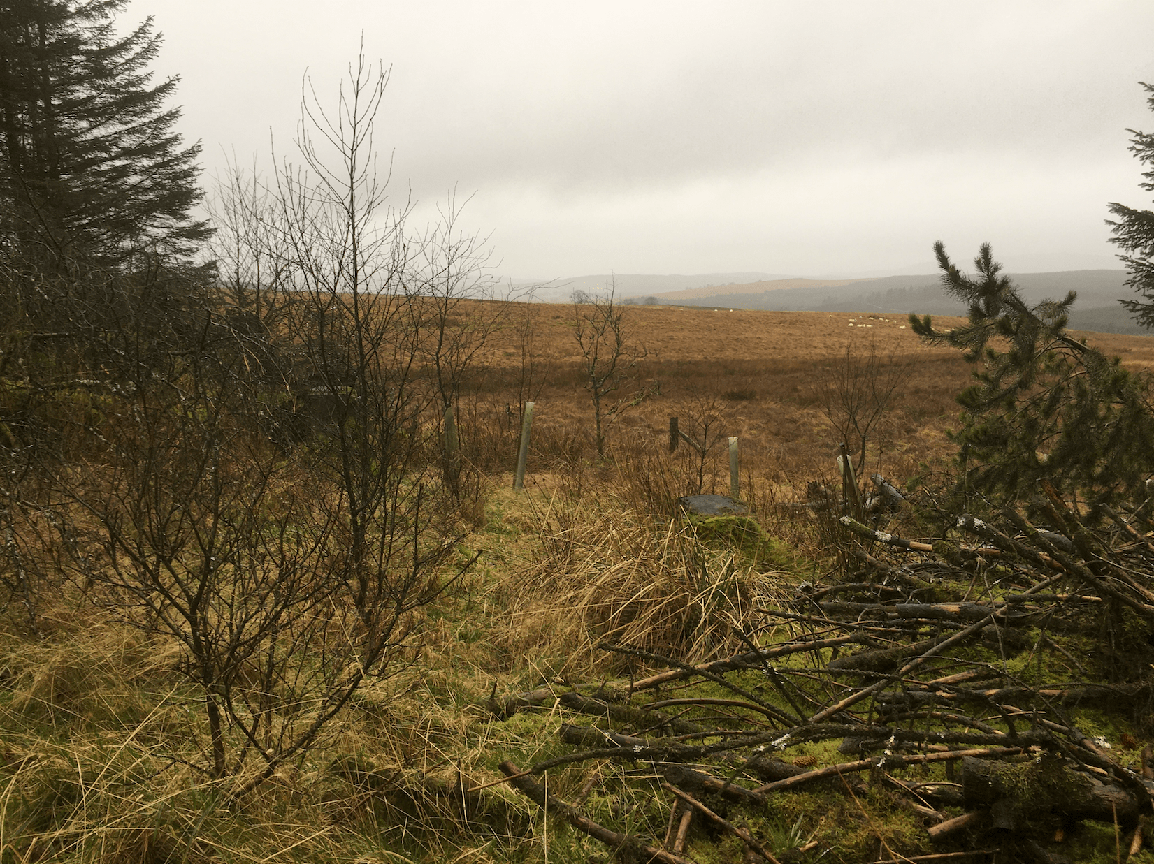 Screen Shot 2020-01-14 at 18.45.41