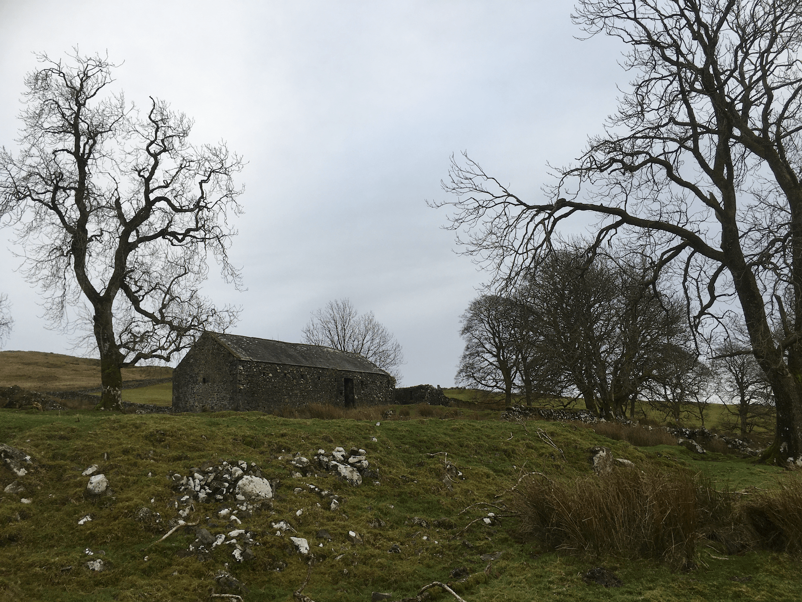 Screen Shot 2020-01-18 at 19.16.22