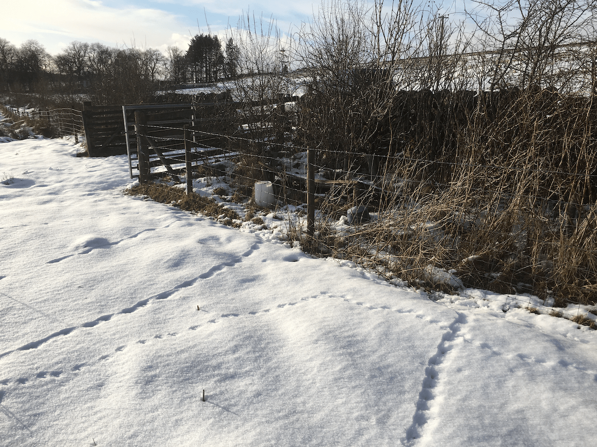 Screen Shot 2020-02-25 at 11.04.50