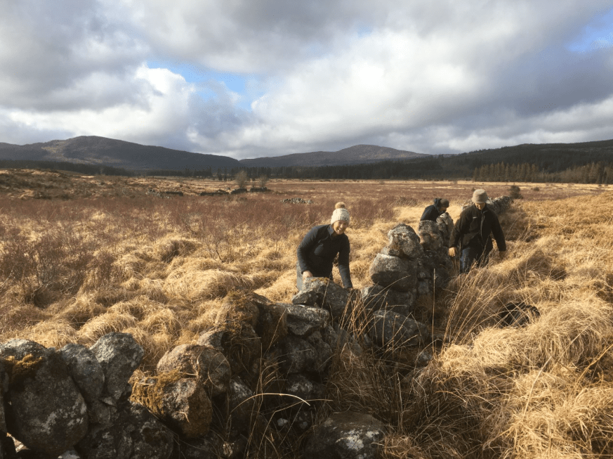 Screen Shot 2020-03-15 at 13.33.28