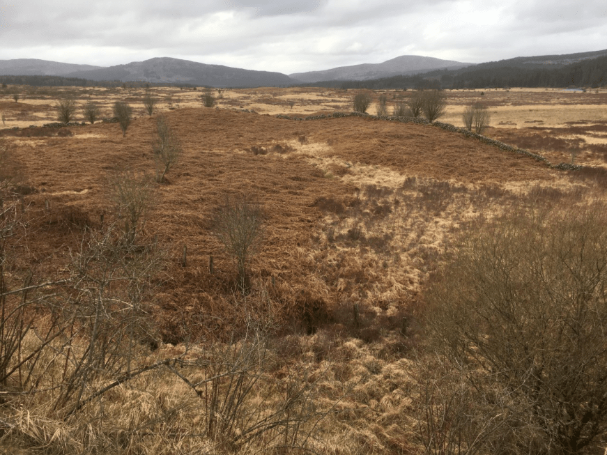 Screen Shot 2020-03-16 at 11.02.01