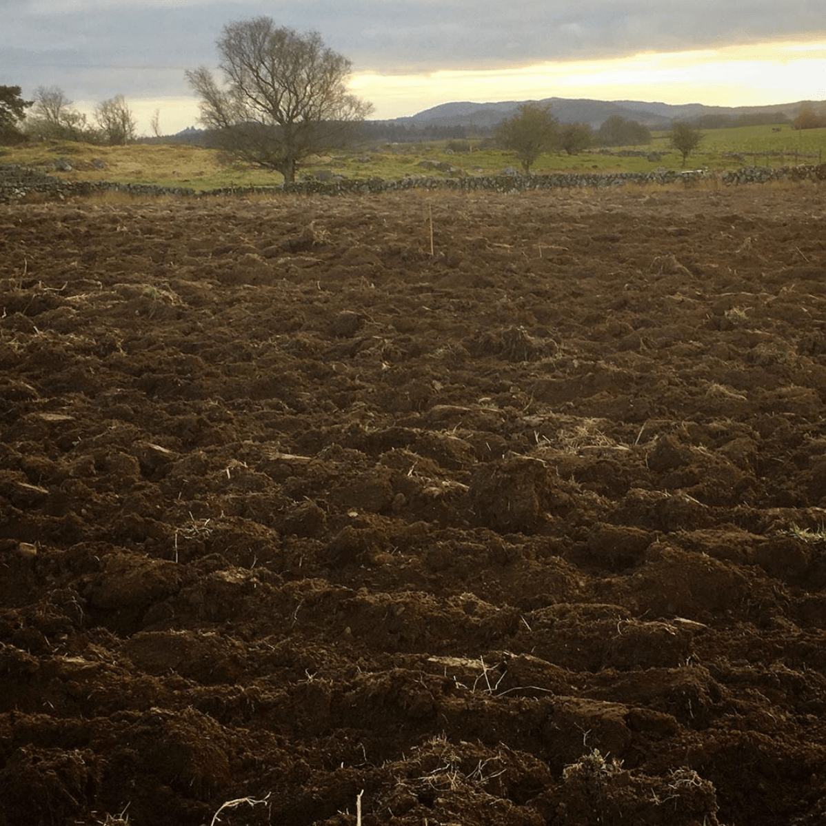 Screenshot 2020-03-28 at 20.43.04.png