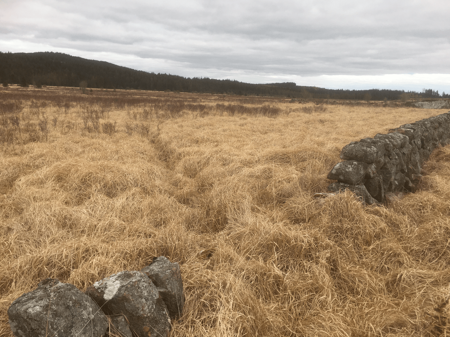 Screen Shot 2020-04-01 at 10.19.14