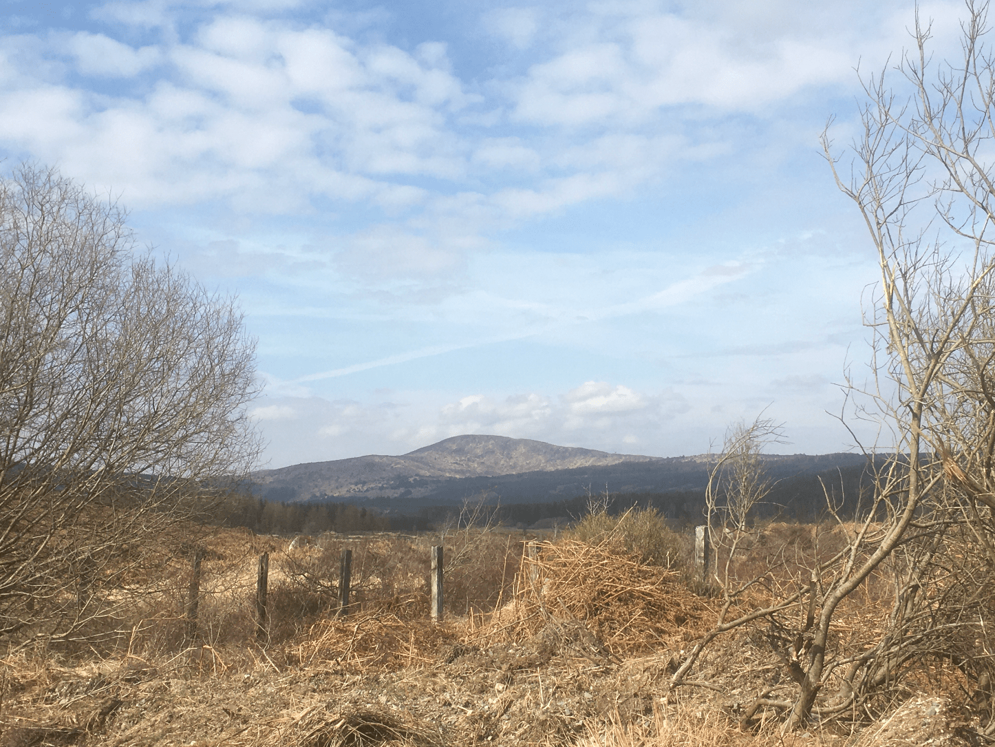 Screen Shot 2020-04-05 at 09.31.31