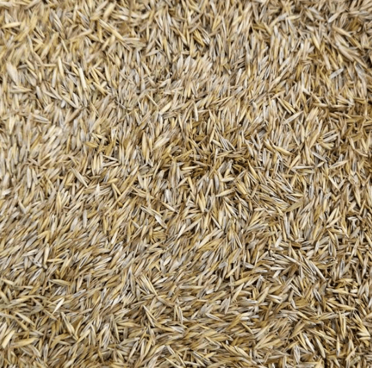 Screen Shot 2020-04-20 at 09.58.37