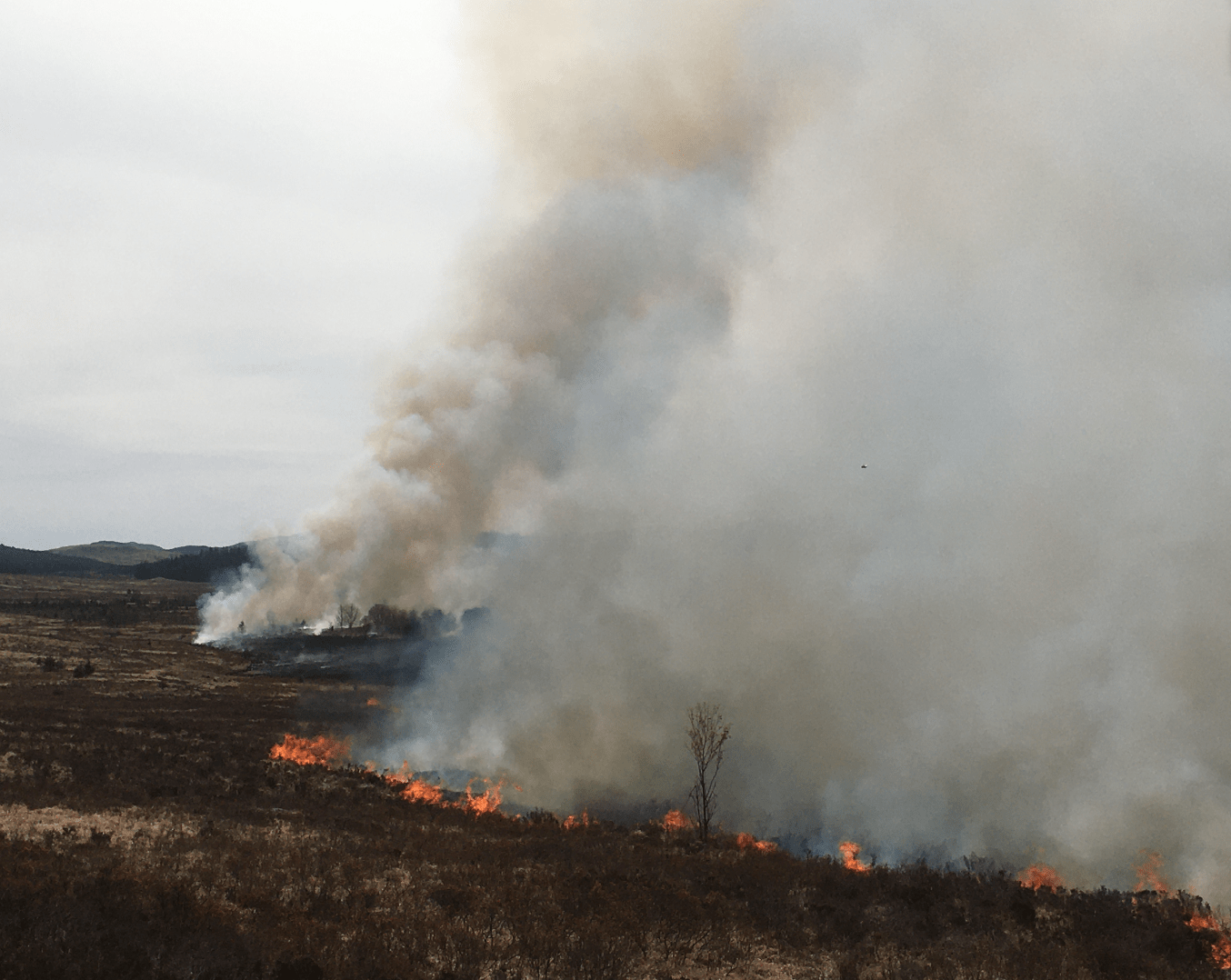 Screen Shot 2020-04-24 at 16.24.44