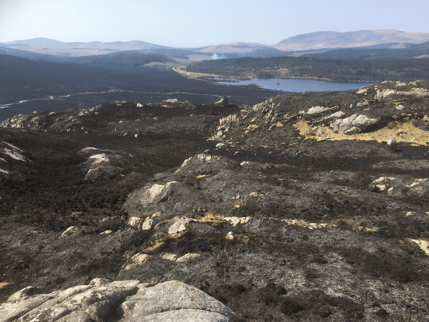 Screen Shot 2020-04-25 at 19.07.04